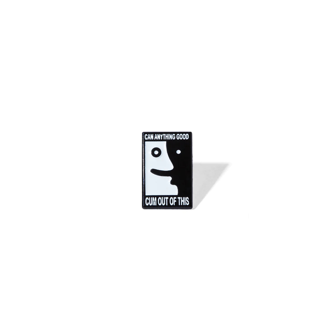 PIN POLAR TOUT BON