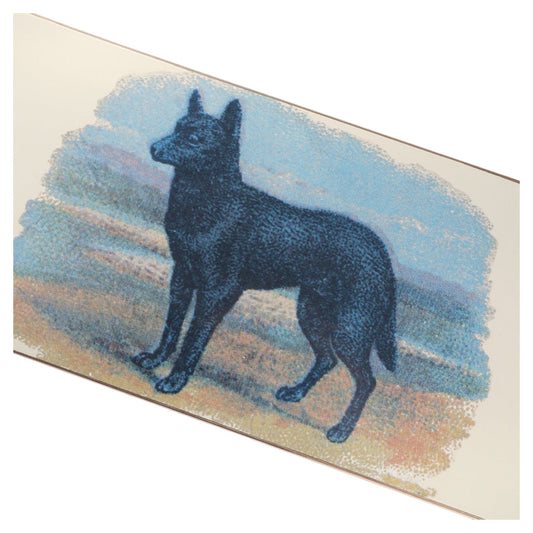 PASSPORT HYBRID VIGOUR SERIES KELPIE 8.25”