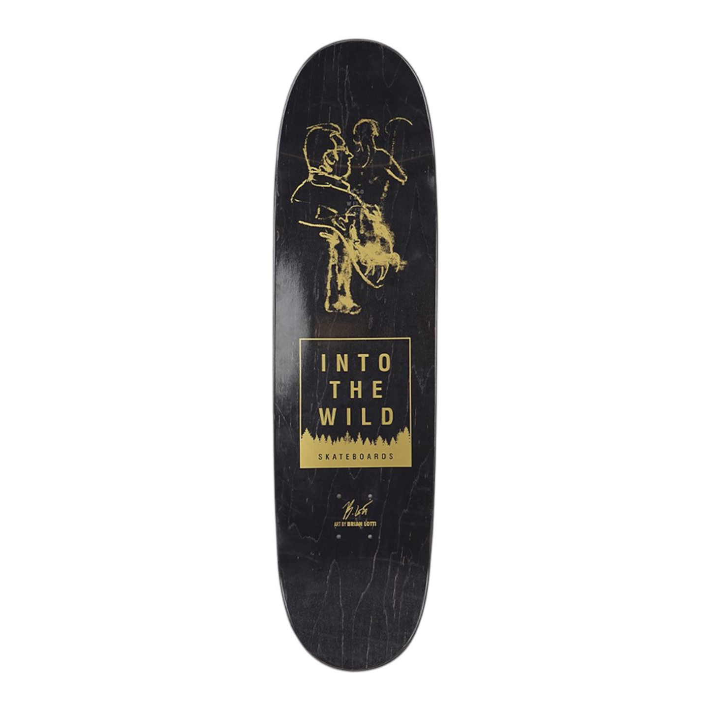 INTO THE WILD BRIAN LOTTI LA MORNING LIGHTS DECK 8.63