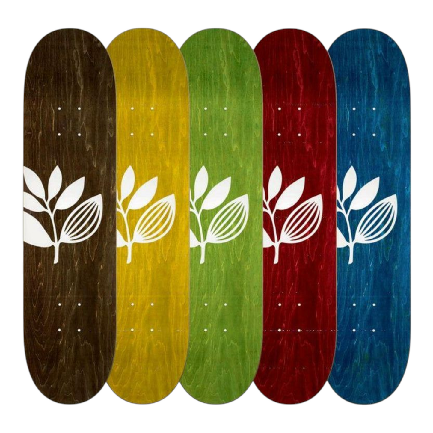 MAGENTA BIG PLANT TEAM DECK ASSORTED STAINS