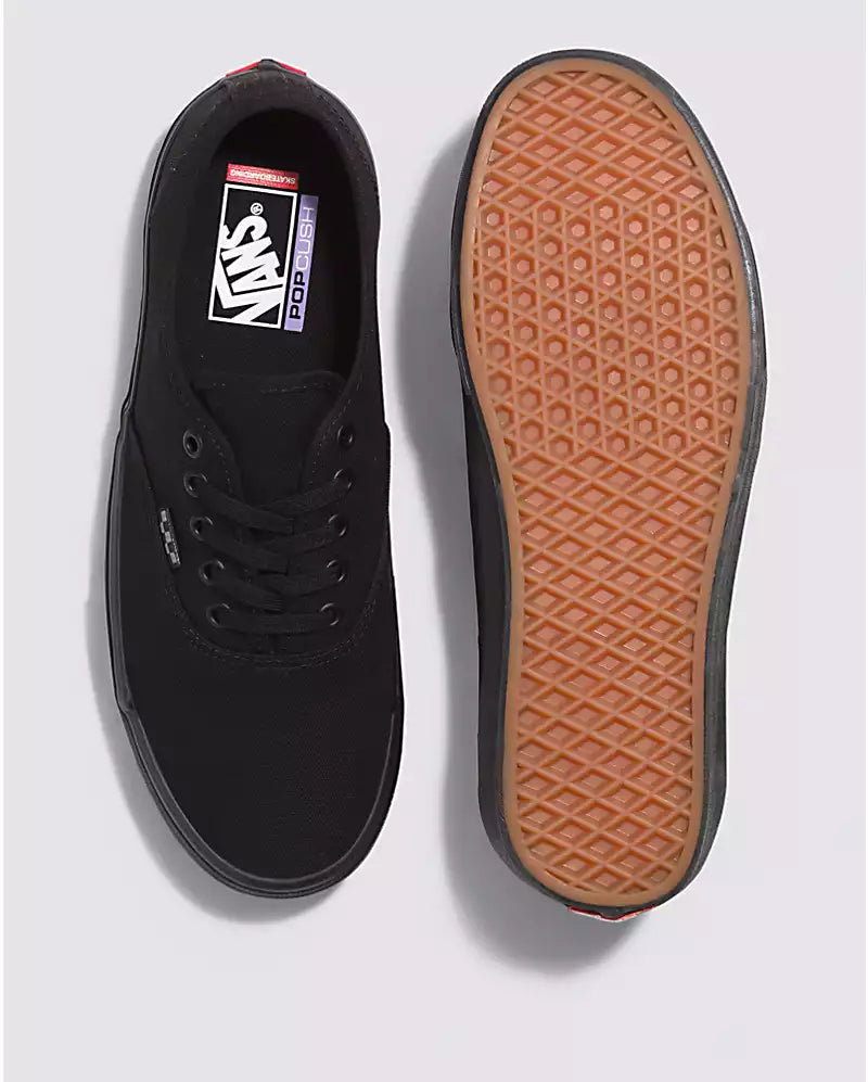 CHAUSSURE VANS SKATE AUTHENTIQUE NOIR / NOIR