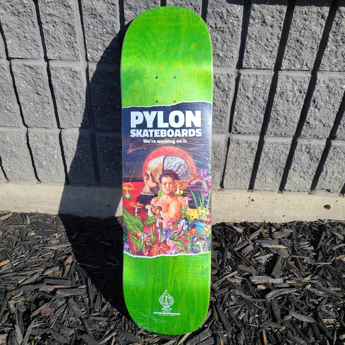 PYLON SKATEBOARDS HANG IN THERE DECK 8.625