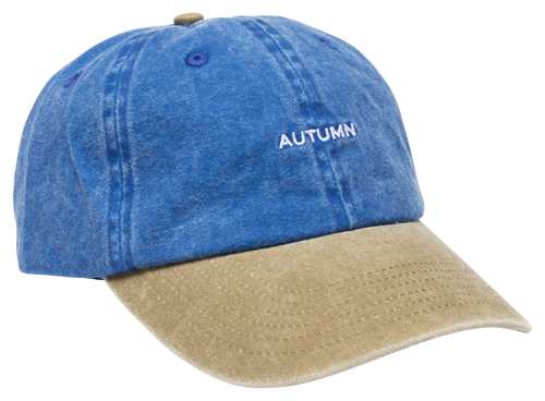 AUTOMNE 6 PANNEAUX STRAPBACK TOILE PRÉLAVÉE BLEU